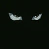 Michael U.